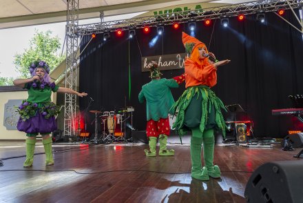 Dni Wisły, dzień trzeci